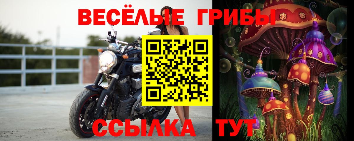 Галлюциногенные грибы ЛСД  Псилоцибиновые грибы мицелий  Городец  купить наркотики цена  Вход с VPN 